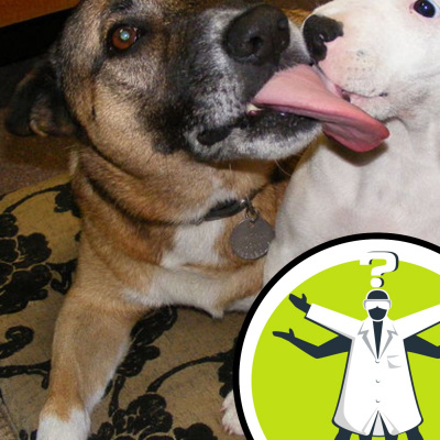 Question Of The Week - From The Naked Scientists