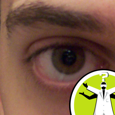 Question Of The Week - From The Naked Scientists