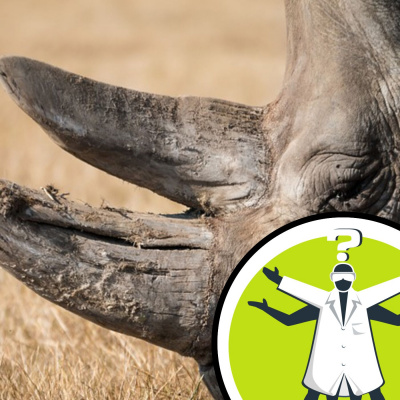 Question Of The Week - From The Naked Scientists