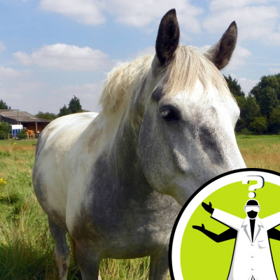 Question Of The Week - From The Naked Scientists