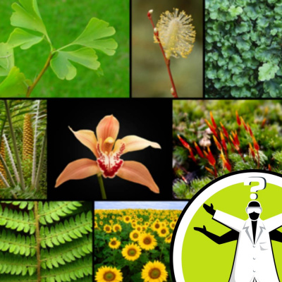 Question Of The Week - From The Naked Scientists