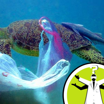 Question Of The Week - From The Naked Scientists