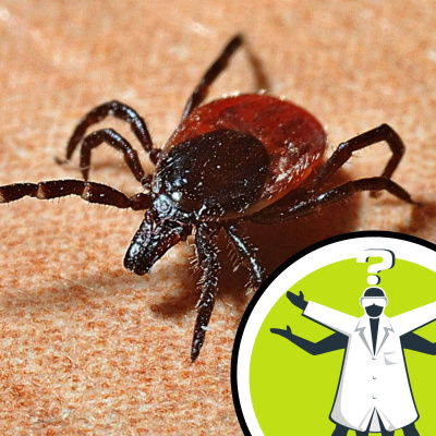 Question Of The Week - From The Naked Scientists