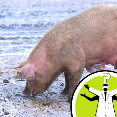 Question Of The Week - From The Naked Scientists