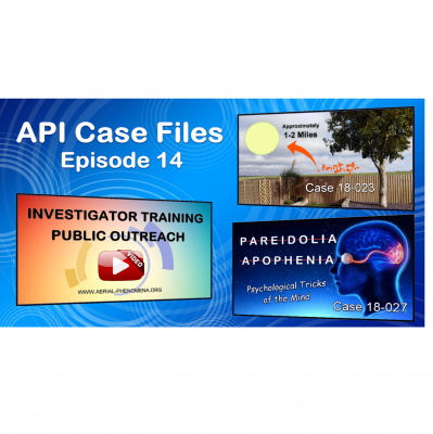 Api Case Files