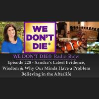 Episode 228 - Why Our Minds Dont Want Us to Believe in the Afterlife, Sandras Latest Journey  Wisdom