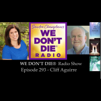 293 Cliff Aguirre - Afterlife, Hypnosis and Past-Life Regression
