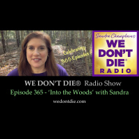 365 Into the Woods with Sandra - The Afterlife  the Power of Your Soul - Celebration Episode!