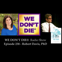 238 Robert Davis, PhD - A Scientists Analysis of Life After Death