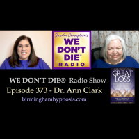 373 Dr. Ann Clark - Healing from Great Loss book and Life Between Lives Therapy