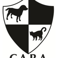 Interview: Nancy Cu-Unjieng, CARA Welfare Philippines