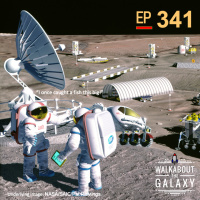 Ethical Dilemmas in Space Exploration