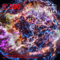 Supernovas and Mass Extinctions