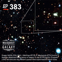 Little Red Dots and Big Black Holes