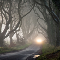 Clear the Fog and YOU Become the Adventure