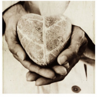 The Rewards of Reverence