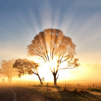 Resurrection - Opening to the Truth of Ourselves