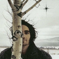 Wondrous Particle of the Nelson Muse