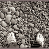 Earth-planted, Water-flowing