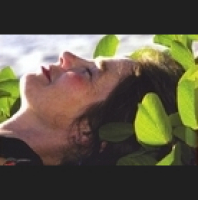 Treehouse Living, Stars Are Singing - Joanne Rand