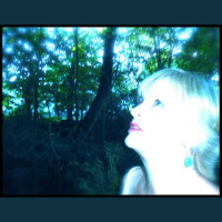 Message From a Red-tailed Hawk