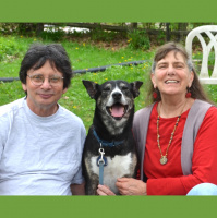 Old Finger-Picking Dog With New Tricks: Rolly Brown