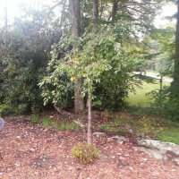 Beloved Community Interviews Sarah Jaffe and Carrie Newcomer