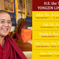 Kindness, Compassion, and Healthy Leadership: A Conversation with Ling Rinpoche