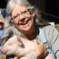 Sam Jones, Tennessee Transitions