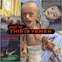 The War on Yemen: A Conversation with Aisha Jumaan