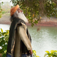 Were We Really Created by God? - Sadhguru