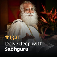 #1321 - Suffering Will Not Seek