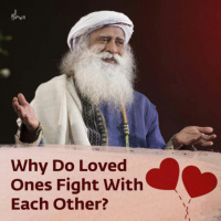 Why Do Loved Ones Fight With Each Other?