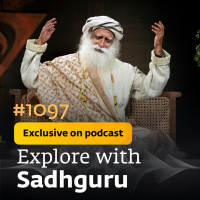 #1097 - Exclusive Episode - New Year Special- Shedding the Old Skin