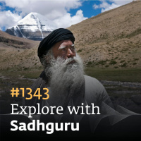 #1343 - Mystical Knowing at Kailash and Dhyanalinga