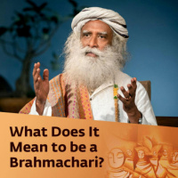 What Does it Mean to be a Brahmachari? | Sadhguru