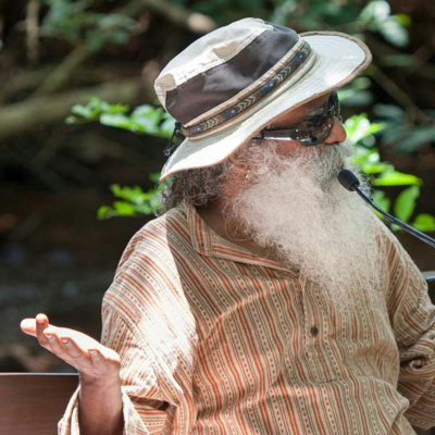 Sadhgurus Podcast