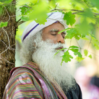 Sadhgurus Podcast
