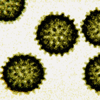 USPSTF Recommendation: Screening for Hepatitis C Virus Infection in Adolescents and Adults
