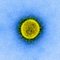 COVID-19 Update with NIAID’s Anthony Fauci, MD March 18, 2020