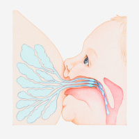 USPSTF Recommendation: Interventions to Support Breastfeeding