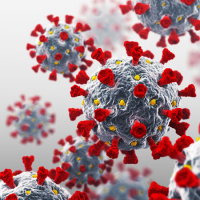 Coronavirus Update With Carlos del Rio and Preeti Malani