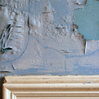 USPSTF Recommendation: Screening for Elevated Blood Lead Levels in Children and Pregnancy