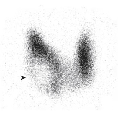 Jama Author Interviews: Covering Research In Medicine, Science,  Clinical Practice. For Physicians, Researchers,  Clinician