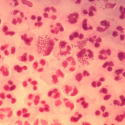 Jama Author Interviews: Covering Research In Medicine, Science,  Clinical Practice. For Physicians, Researchers,  Clinician