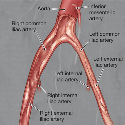 Jama Author Interviews: Covering Research In Medicine, Science,  Clinical Practice. For Physicians, Researchers,  Clinician