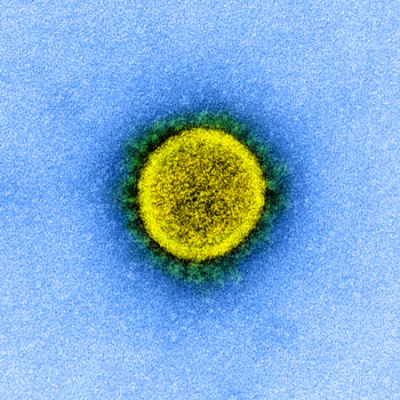 Jama Author Interviews: Covering Research In Medicine, Science,  Clinical Practice. For Physicians, Researchers,  Clinician