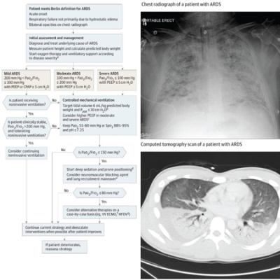 Jama Author Interviews: Covering Research In Medicine, Science,  Clinical Practice. For Physicians, Researchers,  Clinician