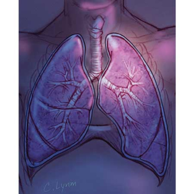 Jama Author Interviews: Covering Research In Medicine, Science,  Clinical Practice. For Physicians, Researchers,  Clinician