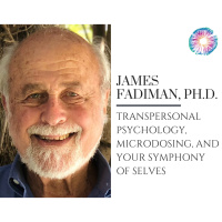 PT275 – James Fadiman, Ph.D. – Transpersonal Psychology, Microdosing, and Your Symphony of Selves